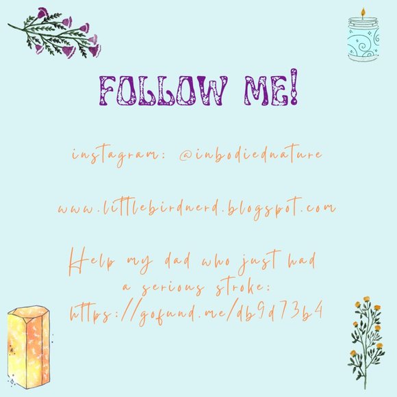 Meet your Posher, Andrea rose - Picture 3 of 5